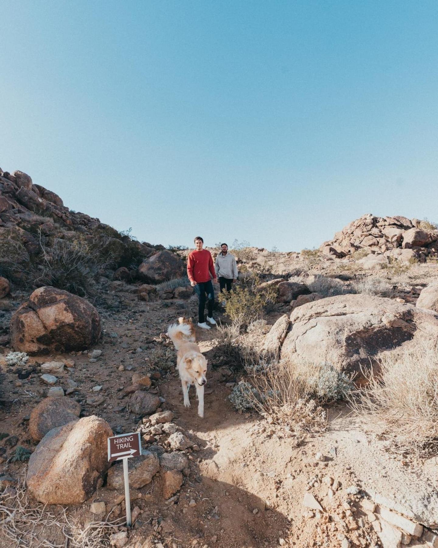 Prism By The Cohost Company Villa Joshua Tree Ngoại thất bức ảnh